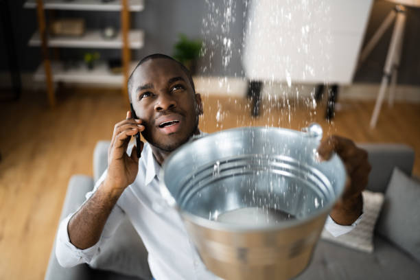 Best Ceiling water damage repair  in Belville, NC