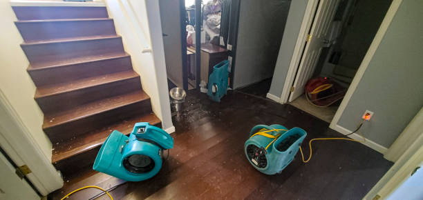 Best Mold removal after water damage  in Belville, NC