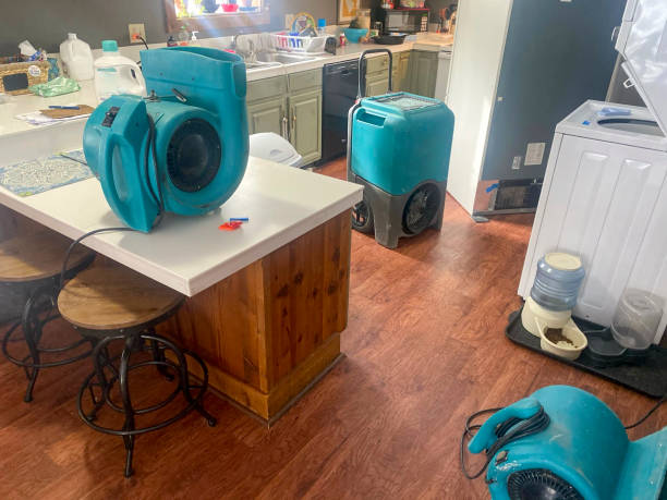 Best Professional water damage repair  in Belville, NC