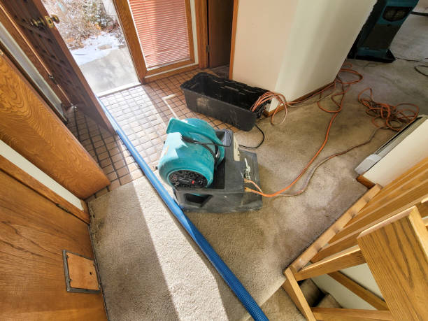  Belville, NC Water damage restoration Pros