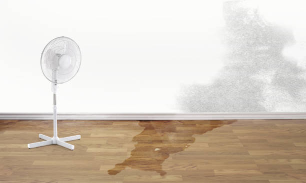  Belville, NC Water damage restoration Pros