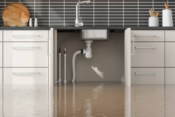 Best Water damage contractors near me  in Belville, NC
