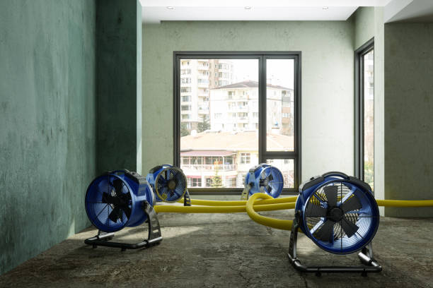 Best Water damage cleanup near me  in Belville, NC